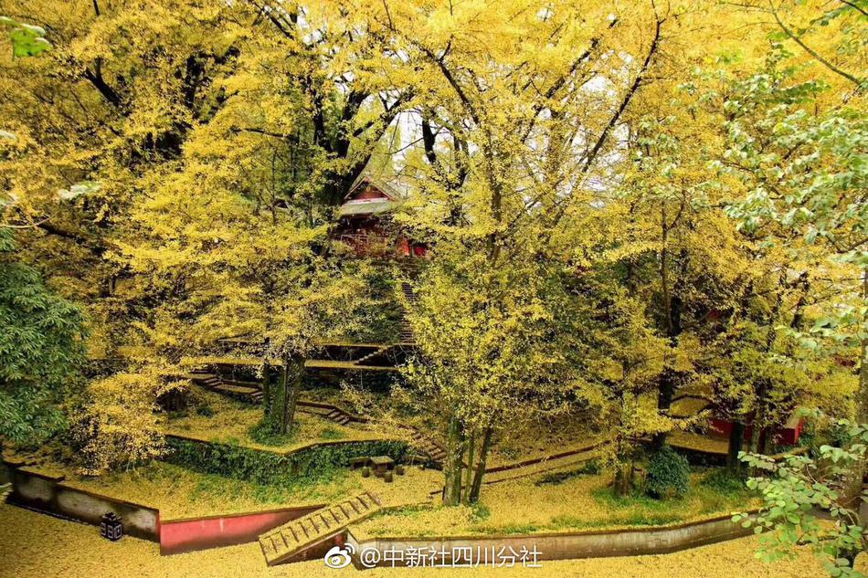 武商集.团：公司与顺丰合作跨江低空无人机航线