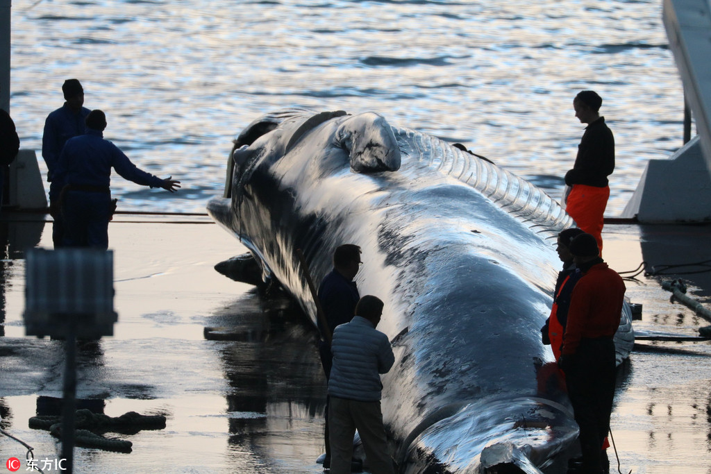半导{体}芯片板块局部走强，士兰微触及涨停