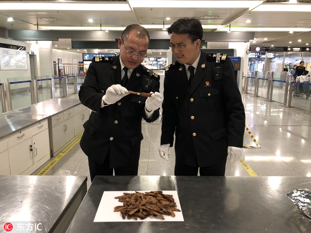 10月;9日 | 理财小百科：利益弹性空间大，分红险选购更须理性