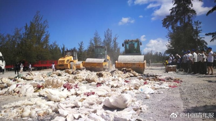 多,模态协同应用，远光图文底座（ocr）从“看清”到“看懂”的智能进阶