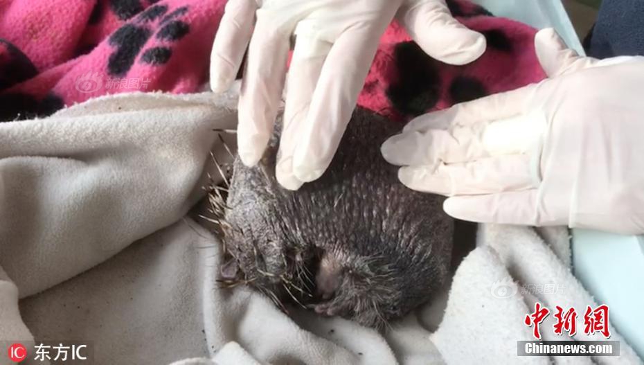 东方电气—，拟配售新h股融资逾11亿