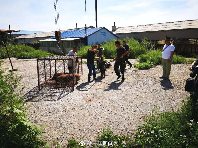 孙永才与百色市委副书{记}、市长王永超座谈交流