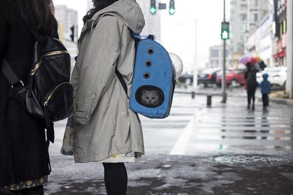 德固‘特’拟终止收购浩鲸科技100%股权 公司称不影响生产经营