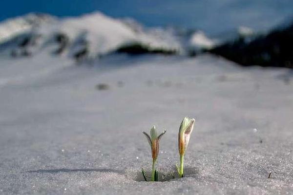 寒.武纪-u成交额达100亿元，现跌0.06%