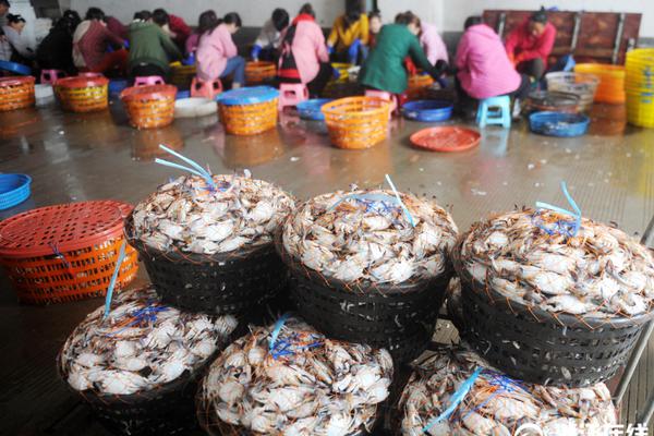 卓锦股份：创;新技术成果逐步发力 助力公司业绩持续改善