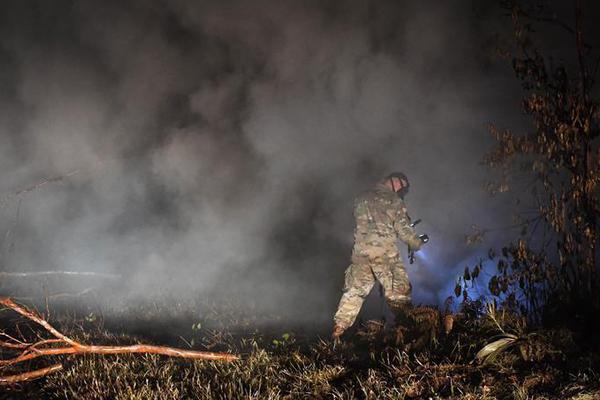 诺唯赞：尚未实施,股份回购