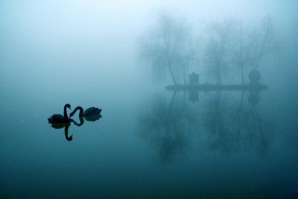 ai—颠覆saas？花旗：软件业将进入一个“赢家通吃”的大分化时代