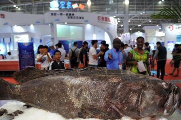 拉加;德警告：欧盟在人工智能领域错失良机，未来面临风险