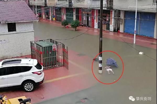 合康新能—：公司无逾期担保情况