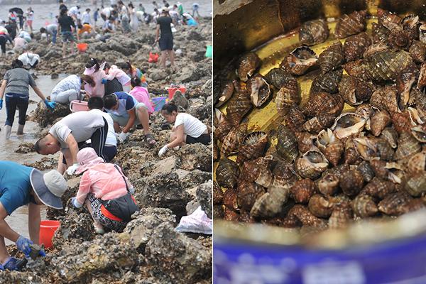 葵?花{药}业，因信息披露违规，收到警示函！！