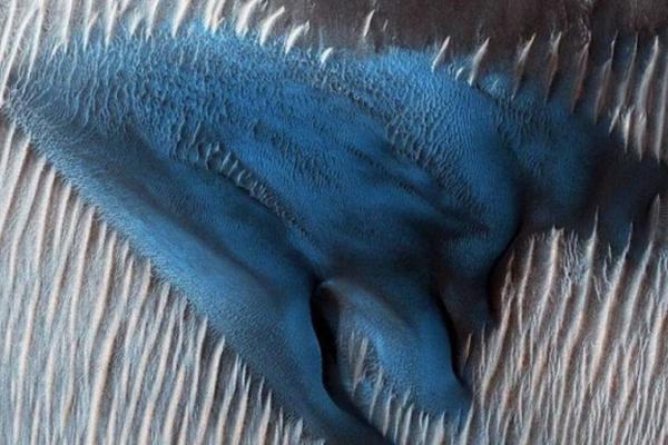 韦,德布什：苹果股票的{下}一个重大催化剂将是ai路线图