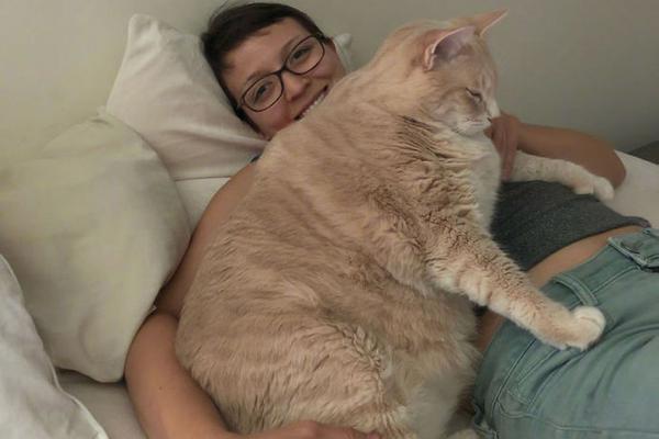 华为智慧.屏 matetv 上架pg电子有官方网站吗试玩官网，今日下午全款预售