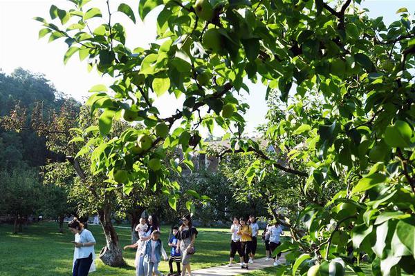 国家电投山,西公司晋北分公司平鲁120兆瓦风电项目完成首吊