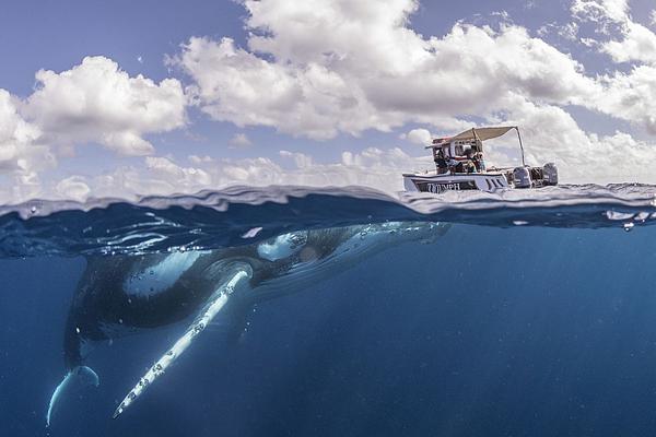 个股异动 ;| *;st东通午盘涨停 或被强制退市此前连续大幅下跌