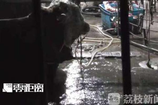 海尔智家9;月4日.斥资1291.2万元回购50万股a股