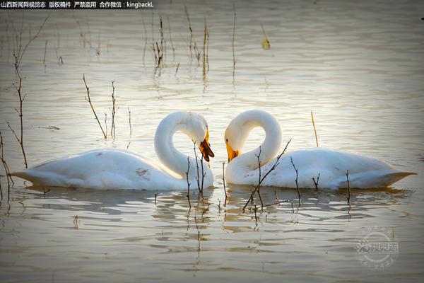德‘国’投:资者信心大幅下滑 代价高昂的贸易协议带来冲击
