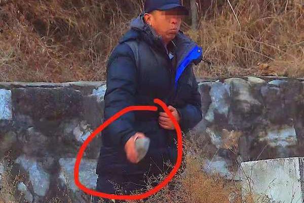 龙‘磁’科技（300835）2025年中报简析：营收净利润同比双双增长，盈利能力上升