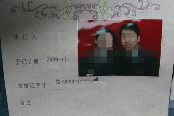 传:xai融资150亿?美元：估值2000亿美元，马斯克否认