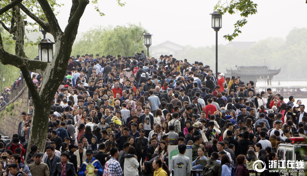 农林牧渔;行业上市公司财务总监观察：永安林业去年营收、净利双降 财务总监查桂兵加薪25.71万元至80.82万