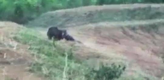 慧源<同>创科—技建议采纳新购股权计划