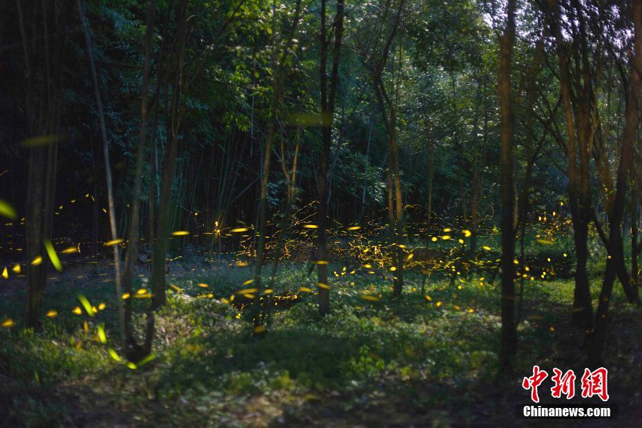 深股通现身11只个?股龙虎!榜