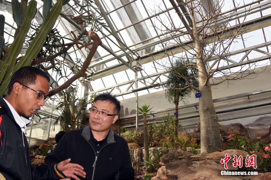 险资加;速掘金港‘股’ipo 选股逻辑看重什么？