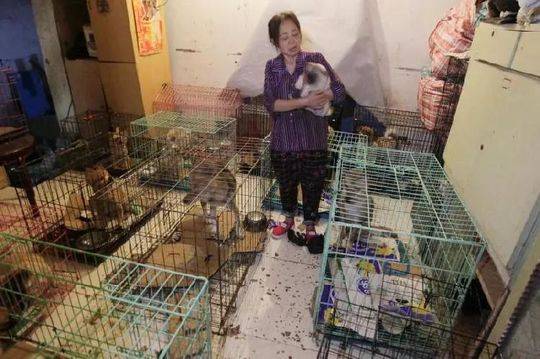 亿纬‘锂’能（300?014）股东西藏亿纬控股有限公司质押3600万股，占总股本1.76%