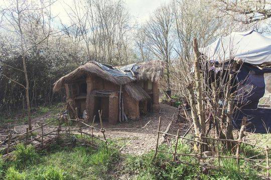 29°‘五’粮液开:启预售，售价399元/瓶，邓紫棋为产品全球代言人